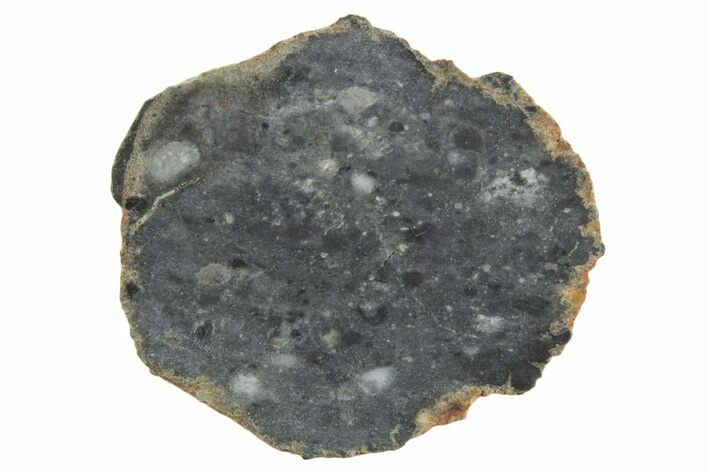 Lunar Meteorite ( g) Slice - Bechar #348175